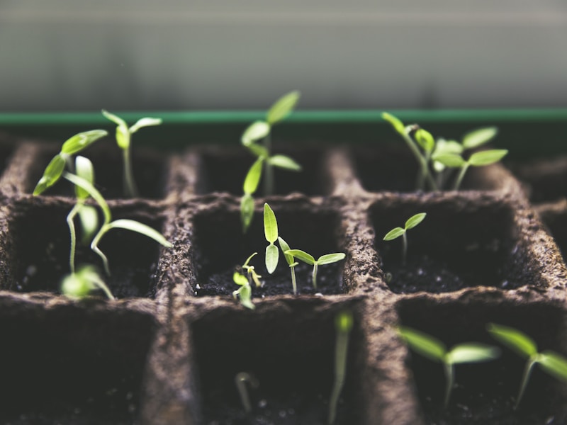 Solar Power for Small Scale Farms